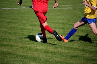 爱游戏app-五大联赛是否推动球员通过站位节奏学习适应战术切换,五大联赛地位 第2张