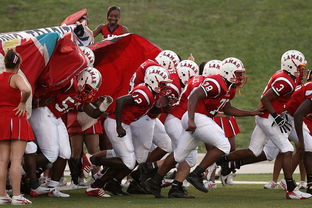 爱游戏体育-搏击台上竞技水平持续提高，搏击台上竞技水平持续提高怎么办  第2张